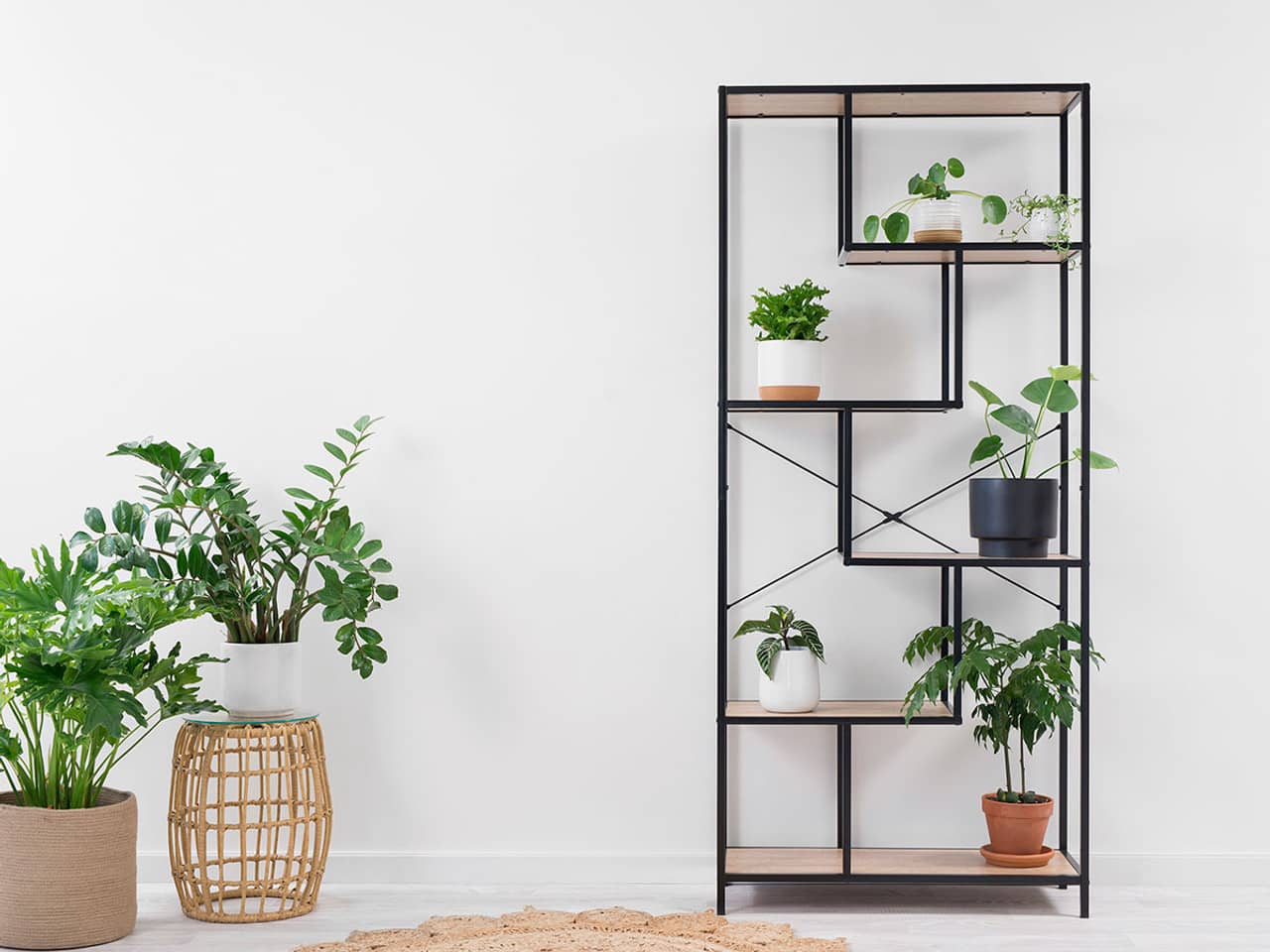 tall corner plant stands