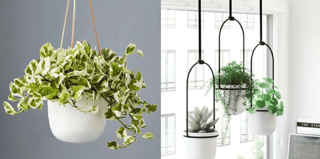 Upgrade Your Home Decor with These Hanging Plant Stands